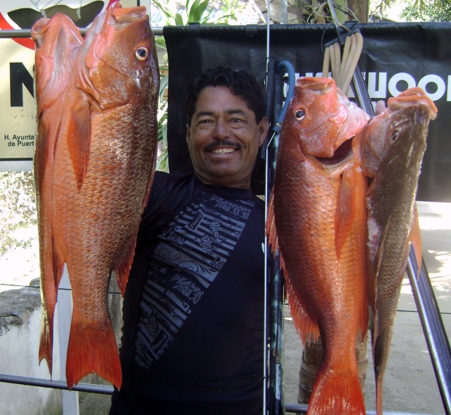 Huachinangos.Spearfishing..