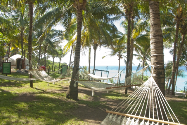 Jardines del Parque Garrafón