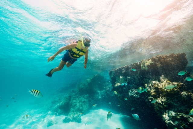 Practicando Snorkeling Isla Mujeternera 