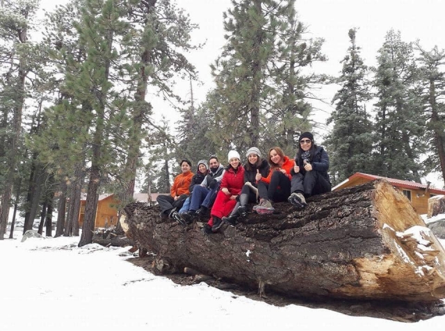 Actividades de invierno