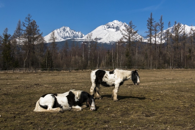 Rutas a caballo
