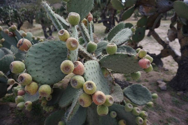 Disfruta la naturaleza