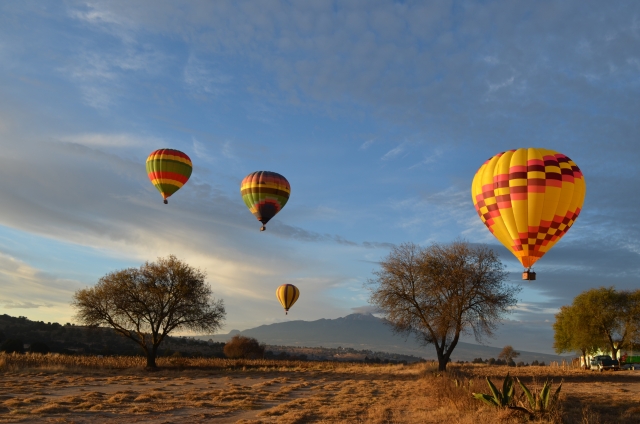 sobrevolando los campos