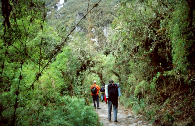 caminatas