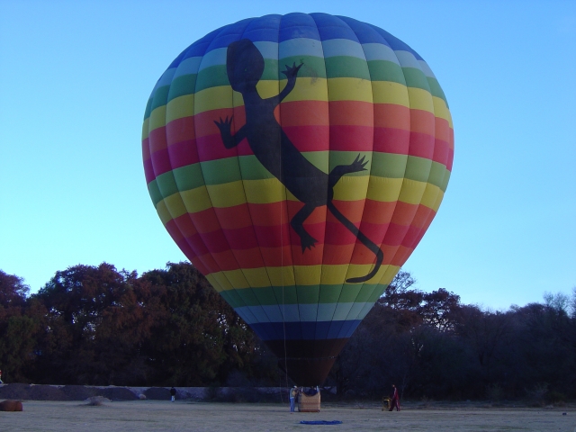 globo lagartija