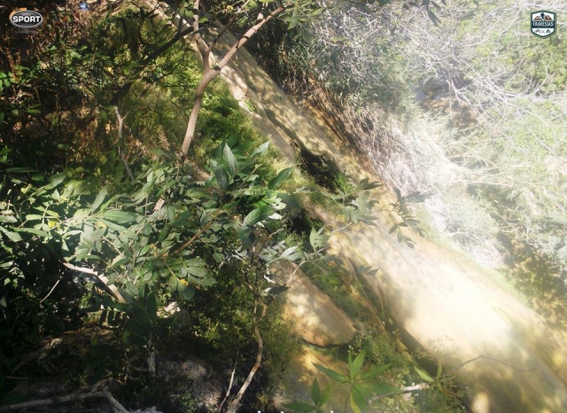 Conoce la naturaleza