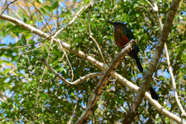 naturaleza