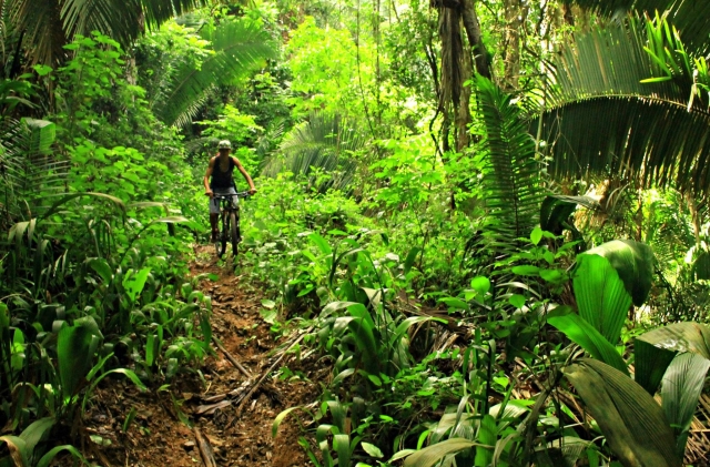 bici de montana