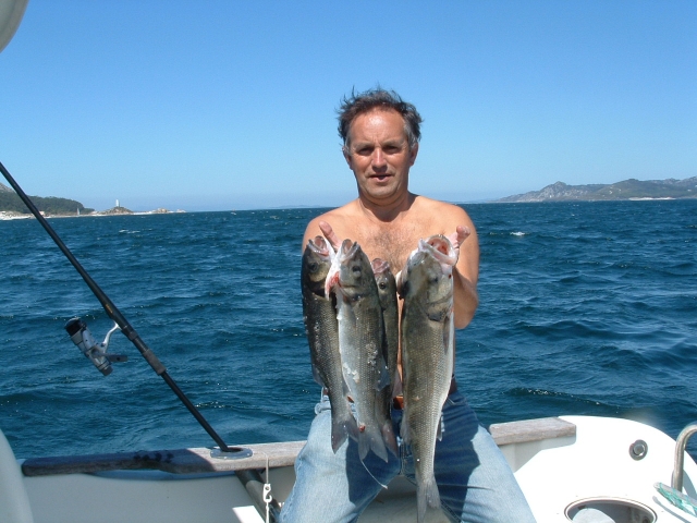 pesca deportivas