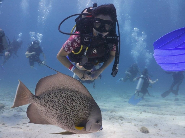 e-19653175-buceo-en-quintana-roo15263107978318.jpg
