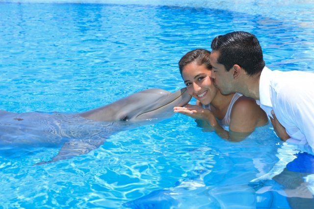 Disfrutando con el delfin