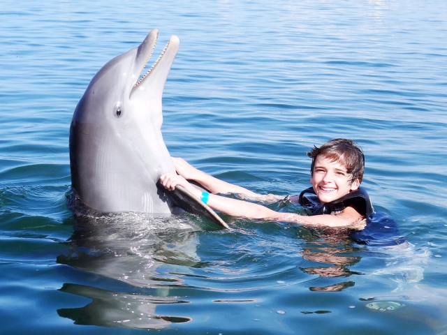 Niño con delfin
