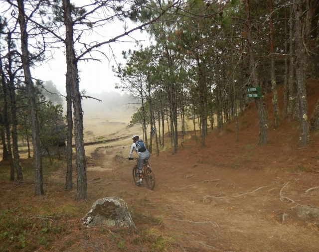Ciclista rodando en pendiente