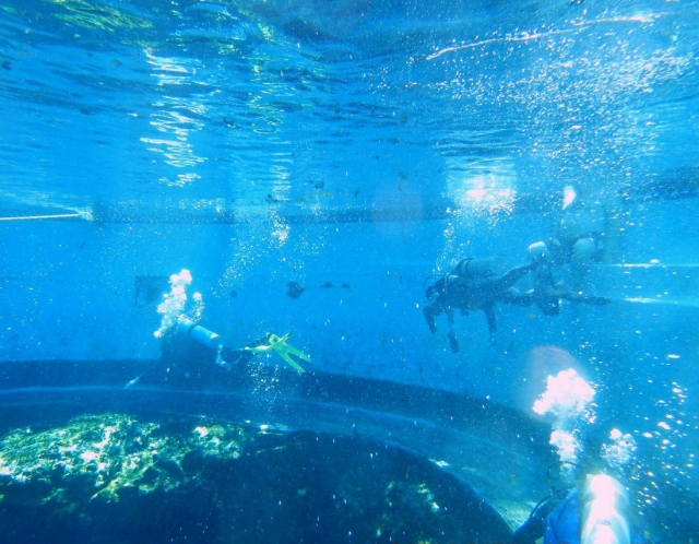 Buceo en la piscina