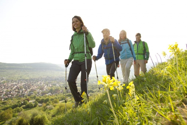 caminatas por bosque