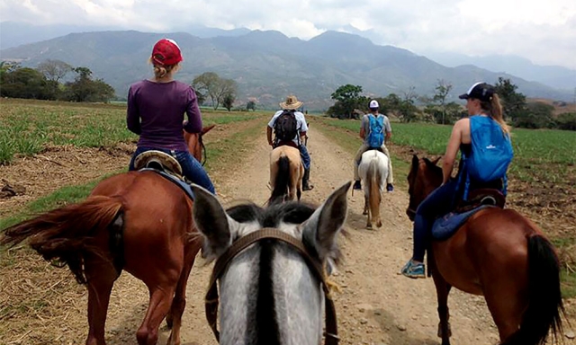 paseos a caballo