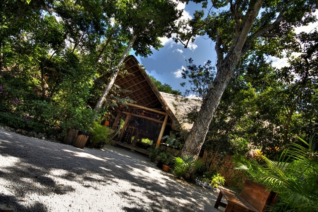 Palapa 