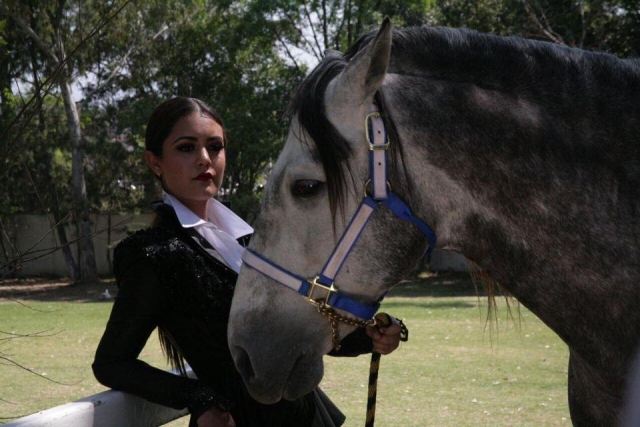 Conoce a los caballos de raza