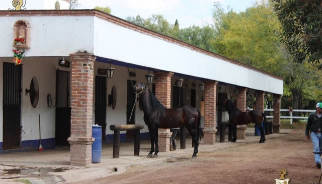 Llegando al recinto