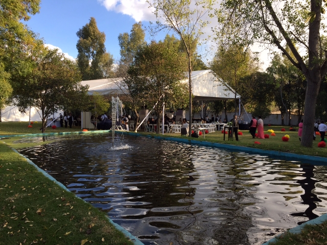 Conoce el lago