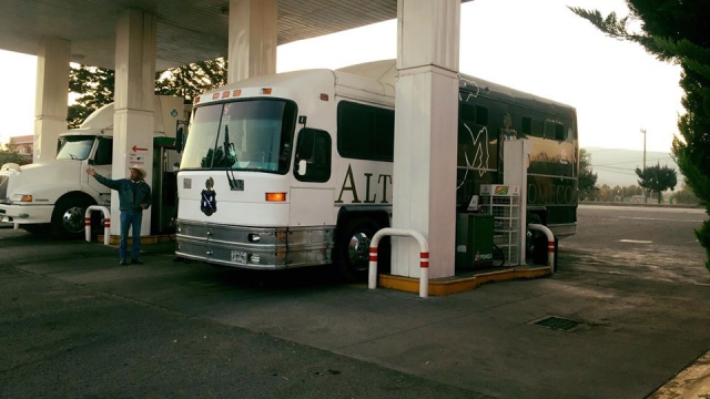 Transportamos a los caballos