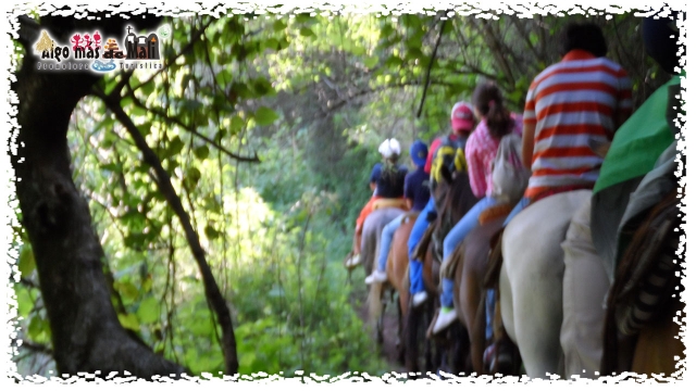Ecoturismo Paseo en Caballos