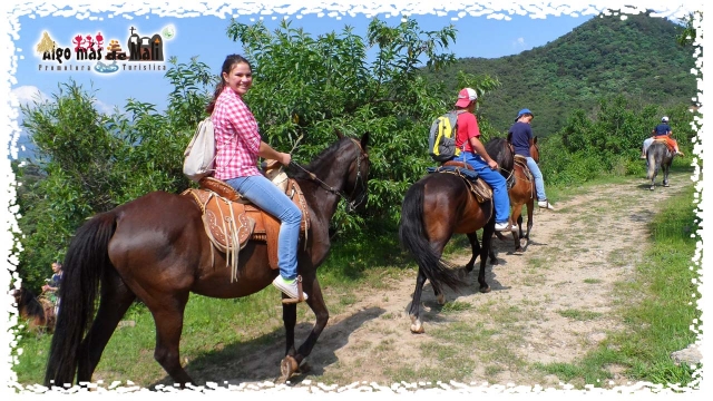 Ecoturismo Paseo en Caballos
