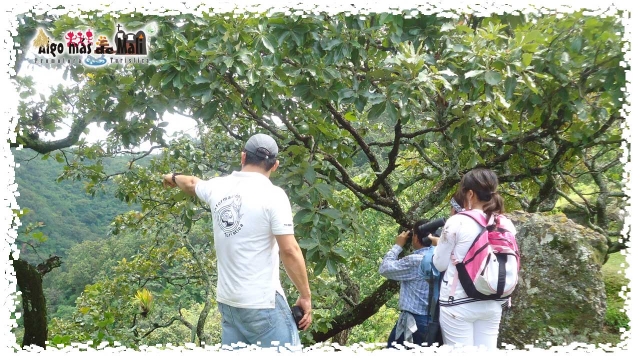 Ecoturismo Senderos y Paisajismo. La Piedra