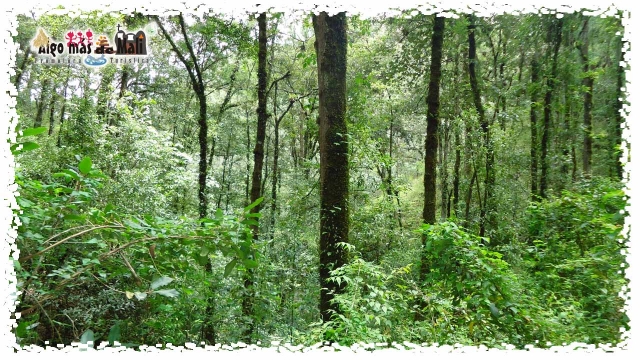 Ecoturismo Senderos y Paisajismo Cascadas