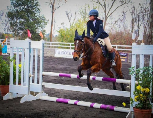 equitacion
