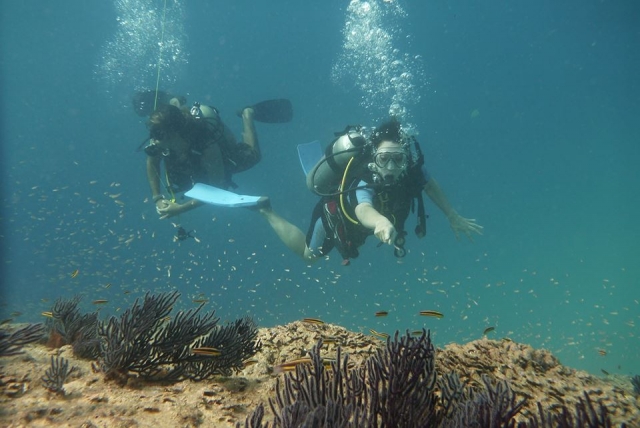 Vive la experiencia del buceo