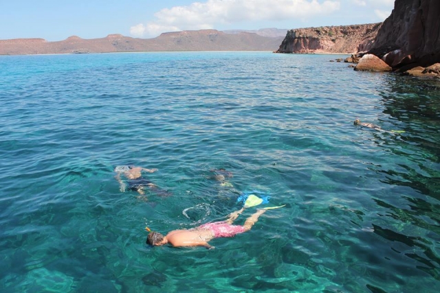 Snorkel 