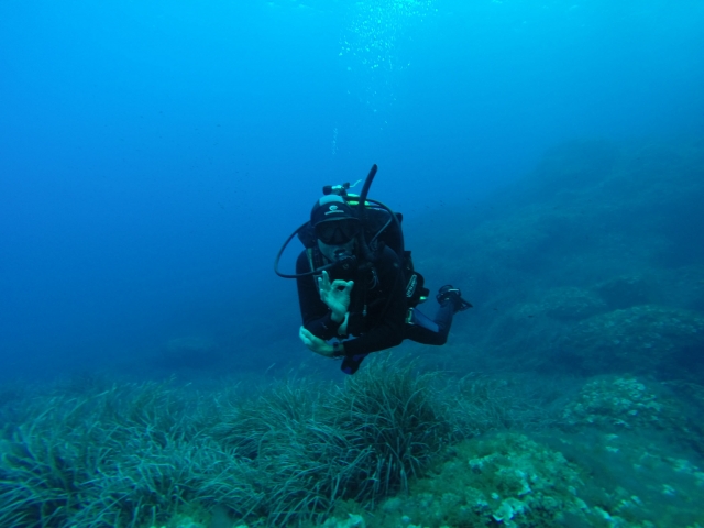 Buceo
