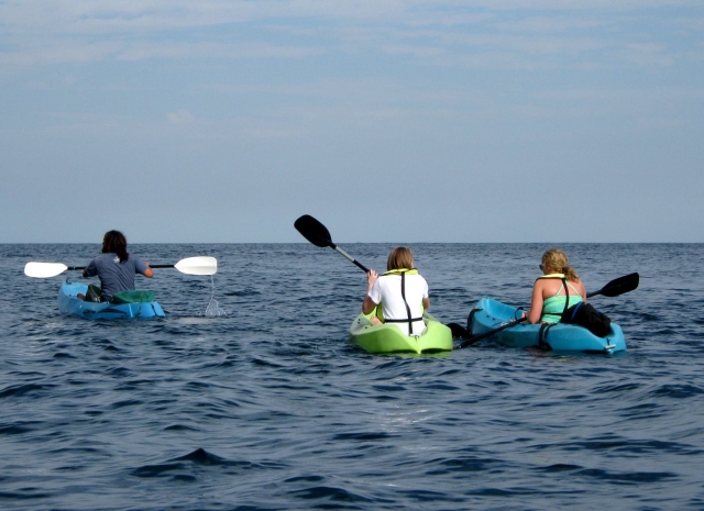 Remando junto a amigos