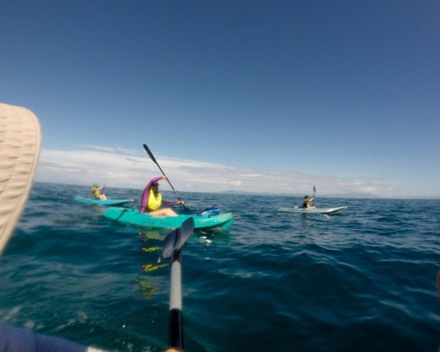 Ruta en kayak en Puerto Vallarta