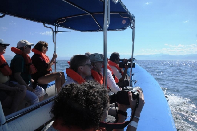 Disfrutando de la vida marina en Vallarta