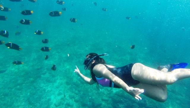 Entre los peces más increíbles