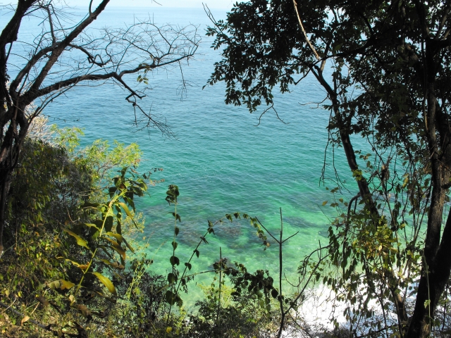 Vista desde los senderos