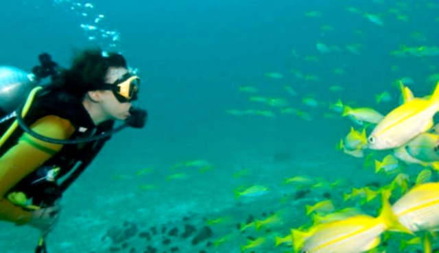 Lo lindo que es bucear