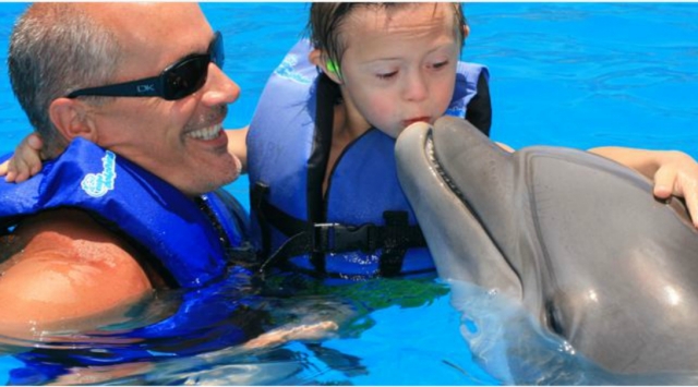 Actividad con delfines