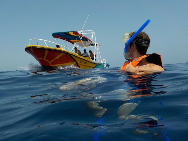Disfrutando del snorkel en Holbox