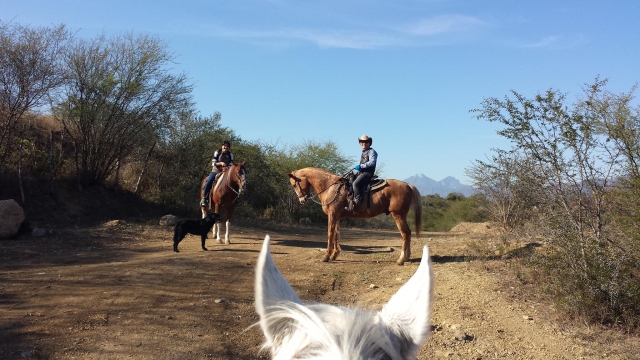 Tu aventura a caballo