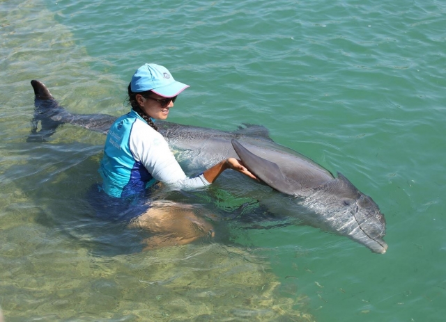 Acariciando la aleta del delfin