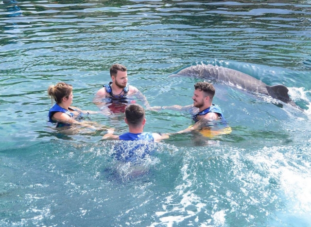 Interaccion con delfines en grupo
