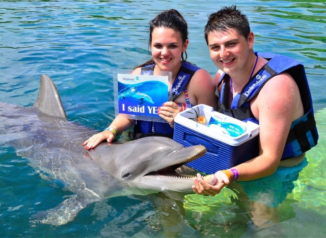 Peticion de matrimonio con delfines