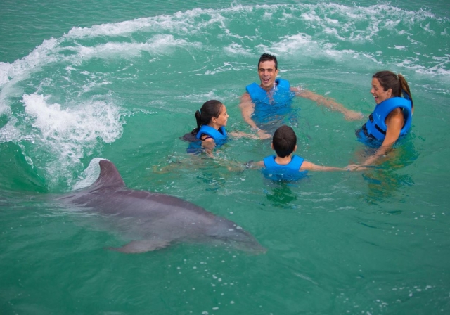 Familia en circulo con delfin