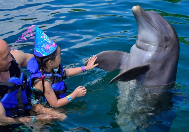 Fiesta infantil con delfines