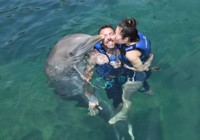 Recibiendo mimos del delfin