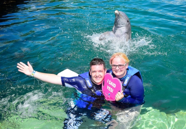 Declaracion de amor con delfines