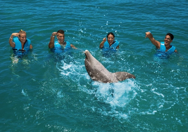 Jugando en grupo con el delfin